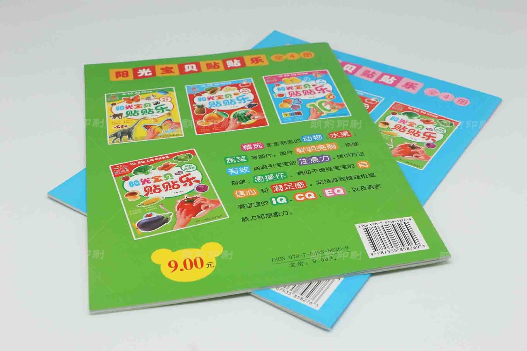 廣州專業(yè)的畫冊設(shè)計印刷廠家 廣州制作公司畫冊、