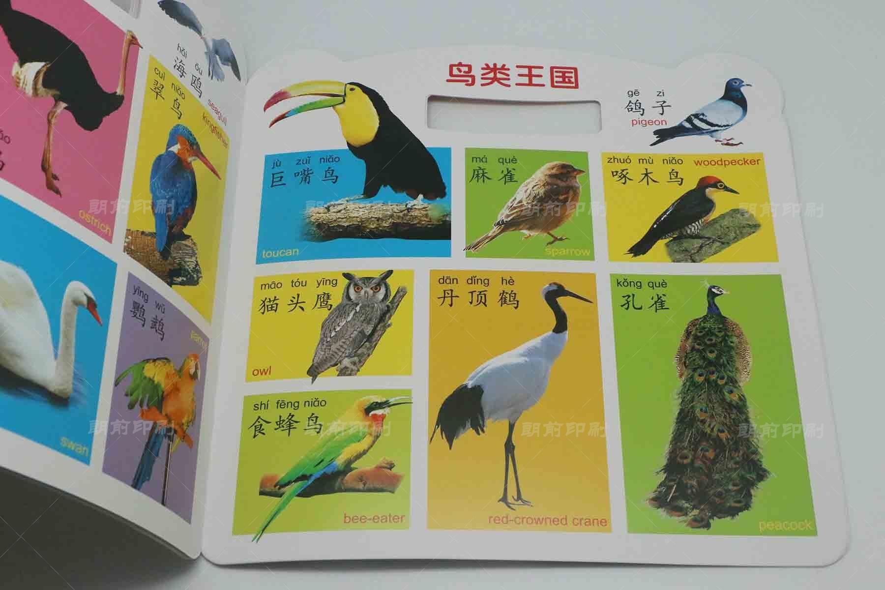 廣州公司畫冊印刷制 廣州畫冊印刷廠怎么